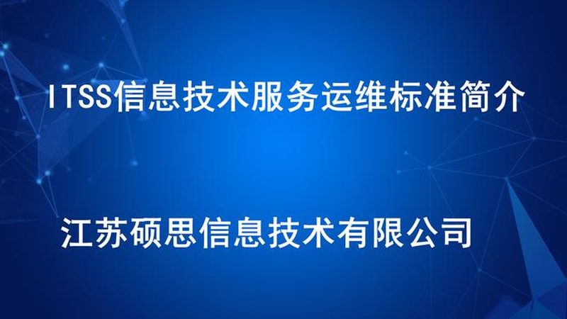上海IT外包服务：揭秘企业数字化转型背后的力量